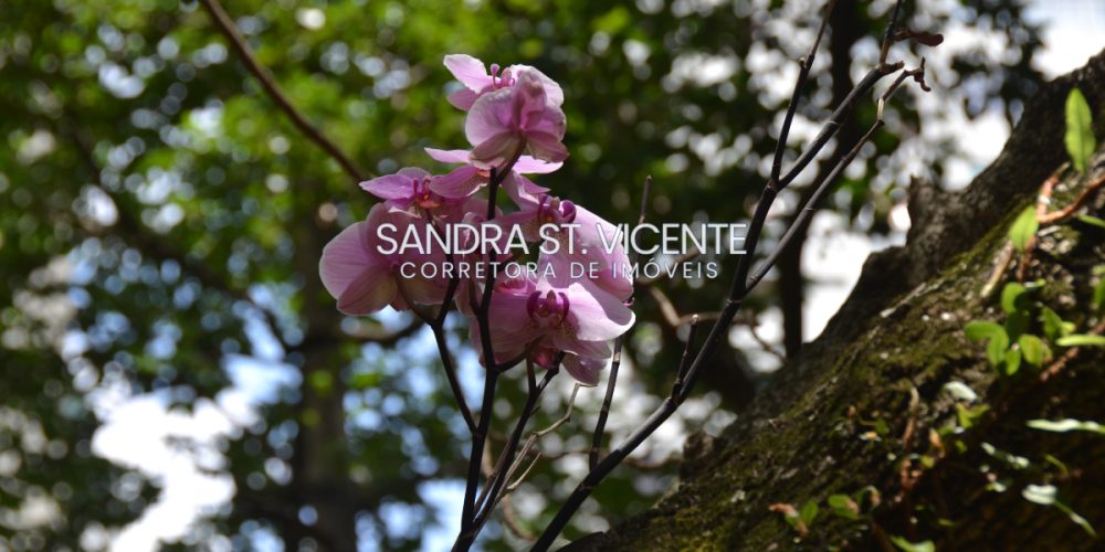 046-c49fd3ff-807f-4b79-9384-717d8b8bf0ea