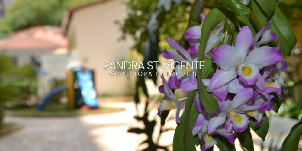 047-d359b5e3-18fe-494f-b7db-9bb9521d1db5